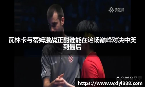 瓦林卡与蒂姆激战正酣谁能在这场巅峰对决中笑到最后