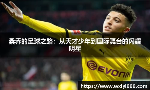 桑乔的足球之路：从天才少年到国际舞台的闪耀明星